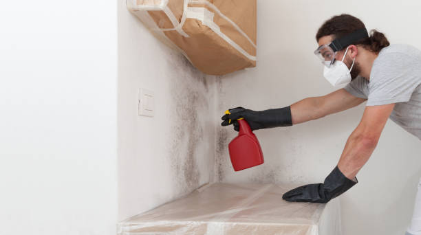 Professional Attic Mold Remediation technician working in Lakeland, GA