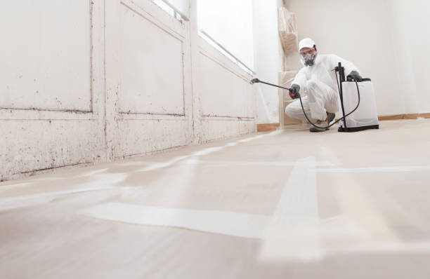 24/7 Emergency Attic Mold Remediation experts in Lakeland, GA